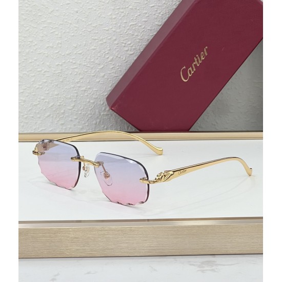 Cartier Glasses
