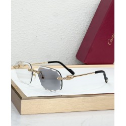 Cartier Glasses