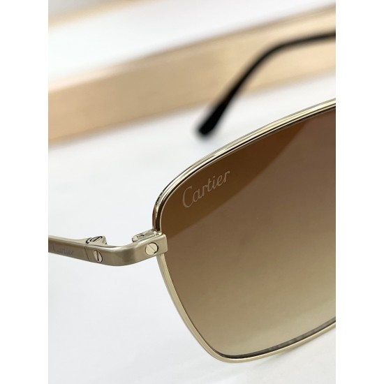 Cartier Glasses