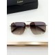 Cartier Glasses
