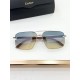 Cartier Glasses