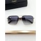 Cartier Glasses