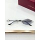 Cartier Glasses