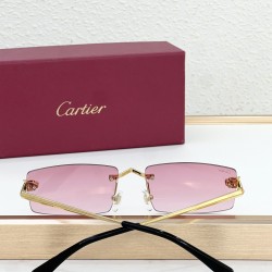 Cartier Glasses