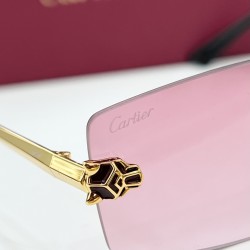Cartier Glasses