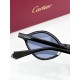 Cartier Glasses