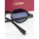 Cartier Glasses