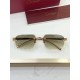 Cartier Glasses