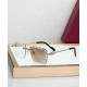 Cartier Glasses