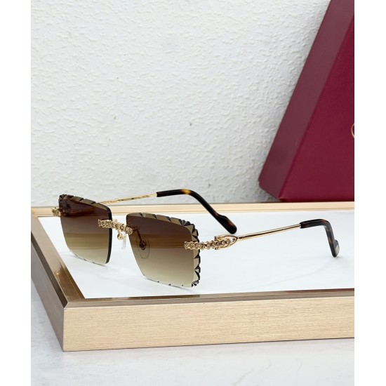 Cartier Glasses