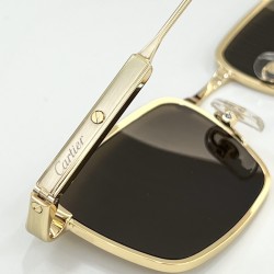 Cartier Glasses