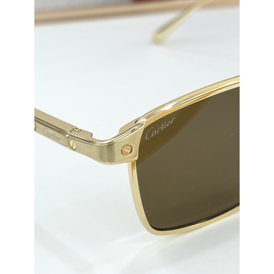 Cartier Glasses