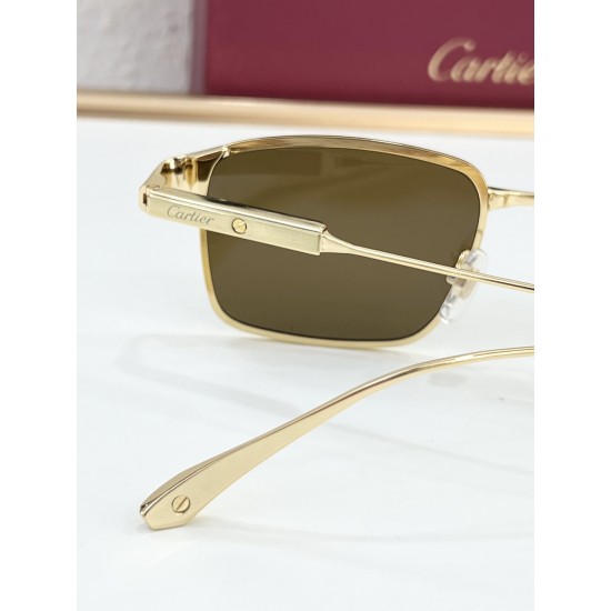 Cartier Glasses