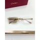 Cartier Glasses
