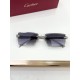 Cartier Glasses