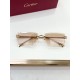 Cartier Glasses
