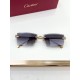 Cartier Glasses