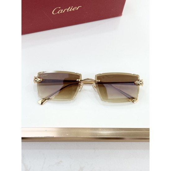 Cartier Glasses