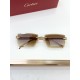 Cartier Glasses