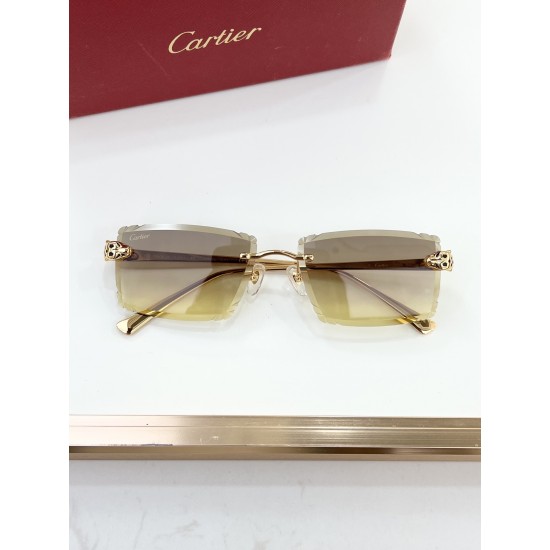 Cartier Glasses