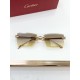 Cartier Glasses
