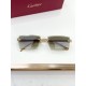 Cartier Glasses