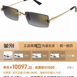 Cartier Glasses