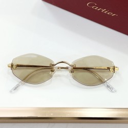 Cartier Glasses