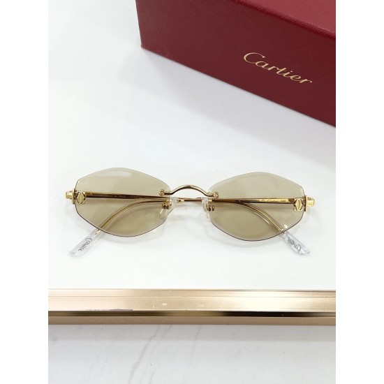 Cartier Glasses