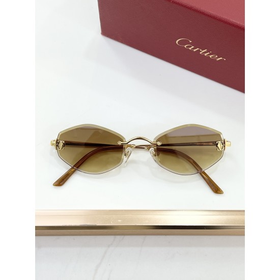 Cartier Glasses