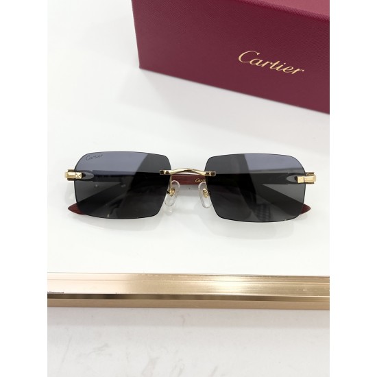 Cartier Glasses