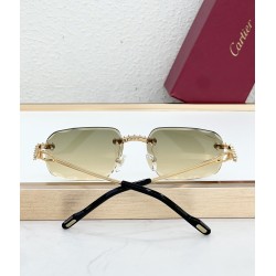 Cartier Glasses