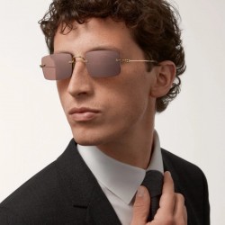 Cartier Glasses