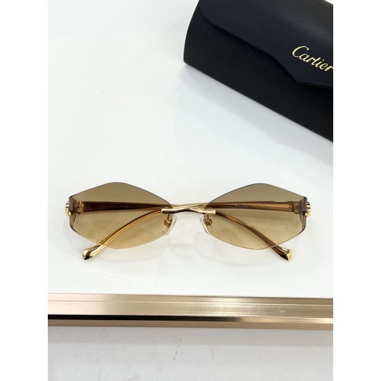 Cartier Glasses