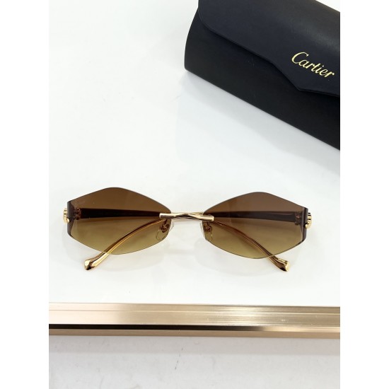 Cartier Glasses