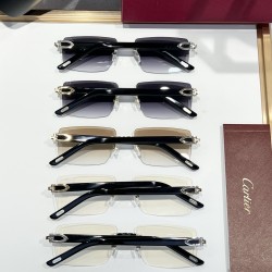 Cartier Glasses