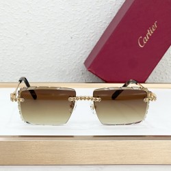 Cartier Glasses