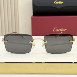 Cartier Glasses