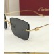 Cartier Glasses