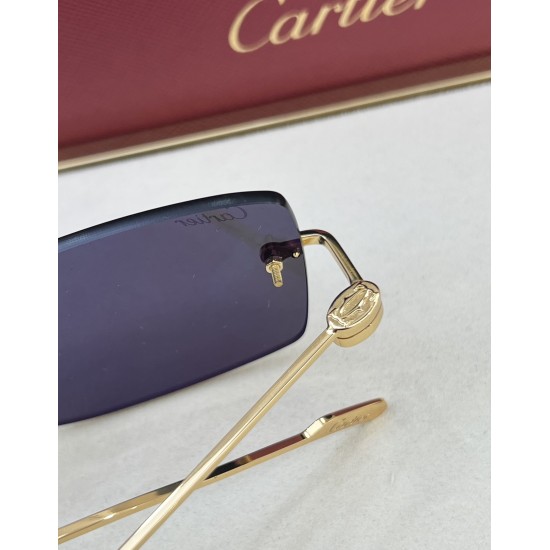 Cartier Glasses