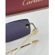 Cartier Glasses