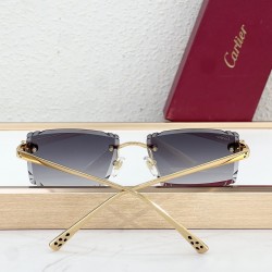 Cartier Glasses