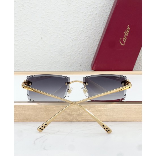 Cartier Glasses