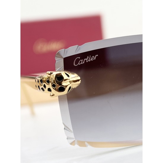 Cartier Glasses