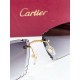 Cartier Glasses