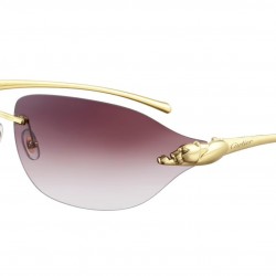 Cartier Glasses