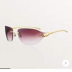 Cartier Glasses