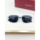 Cartier Glasses