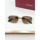 Cartier Glasses