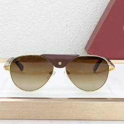 Cartier Glasses
